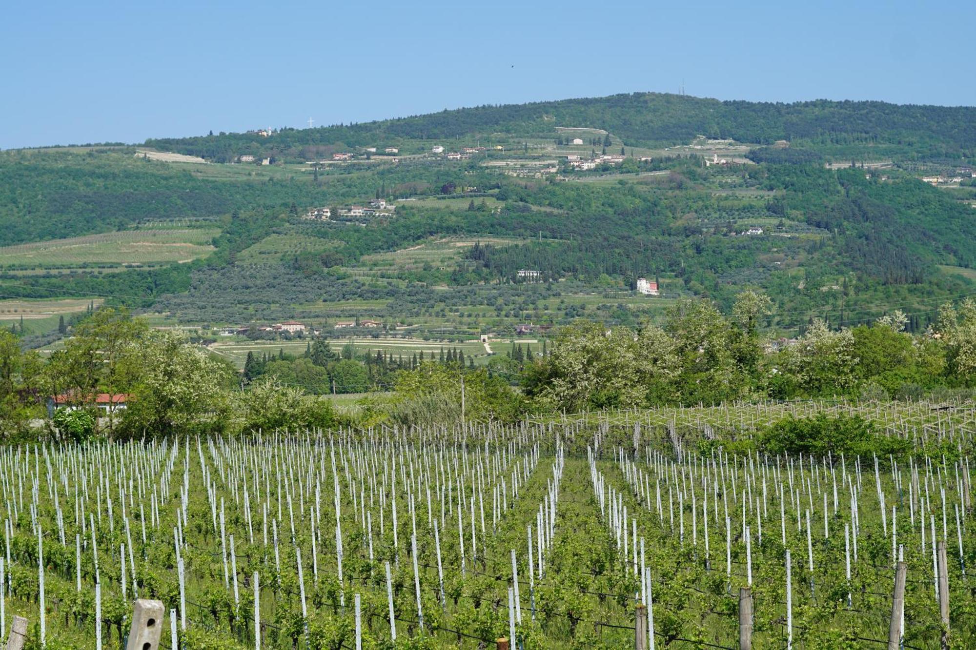 Agriturismo Valentina Cubi Fumane Exterior foto